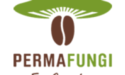 permafungi-logo.png